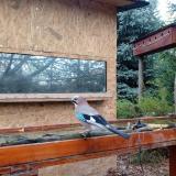 photo 2022-11-04 08-23-30