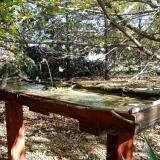 photo 2022-10-17 12-12-24