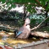 photo 2022-05-12 16-26-12 szajko