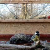 photo 2022-02-03 14-52-22