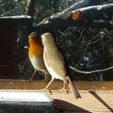 photo 2022-12-13 10-53-42