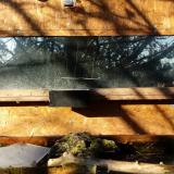 photo 2023-12-04 09-18-33