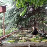 photo 2023-05-25 12-42-50