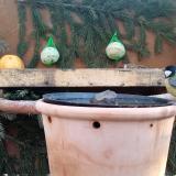 photo 2024-01-11 09-07-30