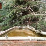 photo 2023-03-20 15-01-19