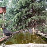 photo 2023-04-10 13-58-09