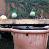 photo 2024-01-07 15-07-07