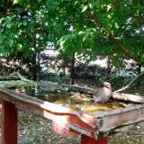 photo 2022-05-12 16-25-53