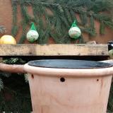 photo 2024-01-09 10-51-08