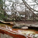 photo 2022-02-21 08-45-20