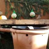 photo 2024-01-02 10-51-32