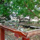 photo 2022-05-16 11-40-05