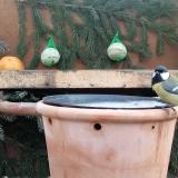 photo 2024-01-14 09-08-54