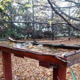 photo 2022-10-23 08-52-02