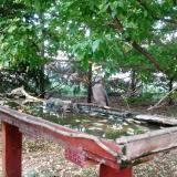 photo 2022-05-10 19-21-00