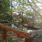 photo 2022-04-13 07-20-46