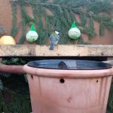 photo 2024-01-02 07-42-48