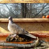 photo 2022-02-14 11-58-56