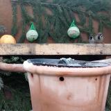 photo 2024-01-08 09-34-22