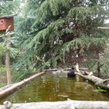 photo 2023-04-09 12-37-14