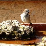 photo 2022-02-10 13-14-37 vereb