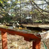 photo 2022-10-22 10-45-21