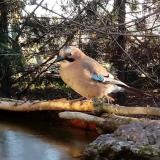 photo 2022-02-24 07-34-21 szajko