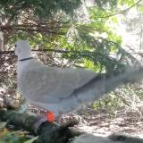 photo 2023-05-11 09-29-52 2