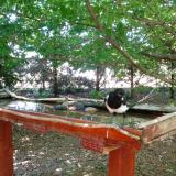 photo 2022-06-03 13-27-01