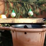 photo 2023-12-30 11-55-35