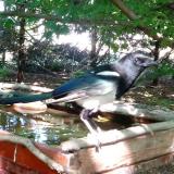 photo 2022-06-01 15-37-44 tarka