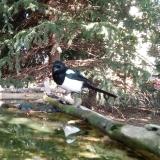 photo 2023-09-29 11-51-36