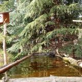 photo 2023-04-01 16-59-54