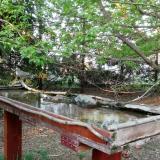 photo 2022-04-20 18-43-41