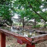 photo 2022-05-10 08-37-07