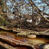 photo 2022-02-17 13-46-06