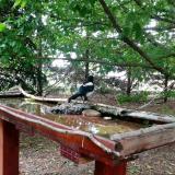 photo 2022-05-29 11-38-21