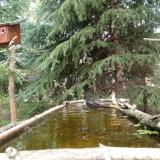 photo 2023-04-06 12-14-27