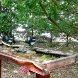 photo 2022-05-23 15-01-59