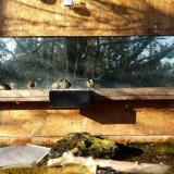 photo 2023-12-04 10-06-53