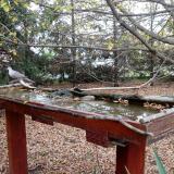 photo 2022-10-21 16-36-45