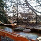 photo 2022-02-24 07-32-21