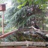 photo 2023-06-27 09-21-35