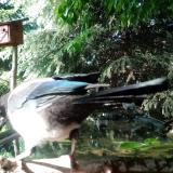 photo 2023-05-21 17-16-43