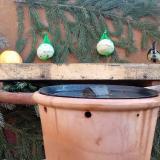 photo 2024-01-02 09-22-49