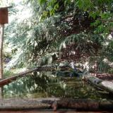 photo 2023-08-08 16-46-56