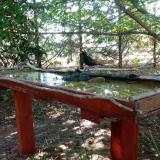 photo 2022-07-21 08-51-02