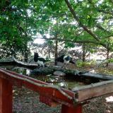 photo 2022-06-02 09-33-01