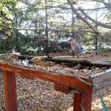 photo 2022-10-20 08-24-26