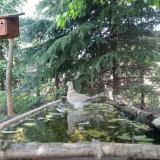 photo 2023-04-30 10-56-52